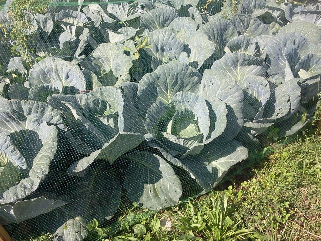 2013-08-29 10.31.34