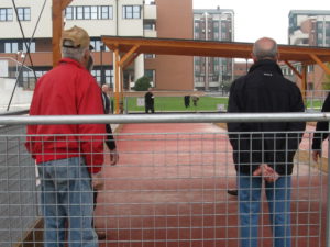 bocce e pistodromo ott. 2013 021