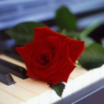 rosa_su_piano